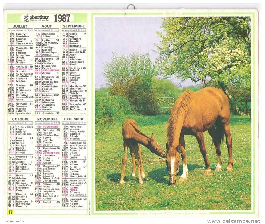 CALENDRIER  ALMANACH DES P.T.T. ANNEE 1987 - Oberthur N° 17 - Photos Renée Panier  Et Cl. Martin/milphoto - Grossformat : 1981-90