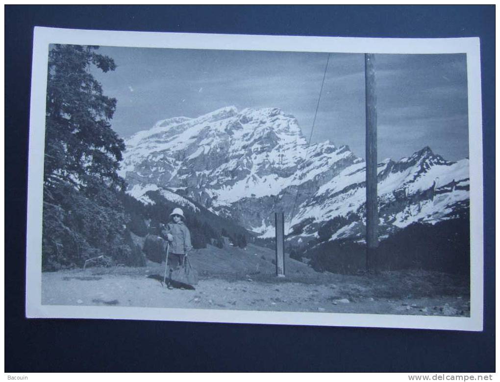 Villars Sur Ollon  Bouquetins 1955 Emmanuel - Belle Carte Photo  . - Ollon