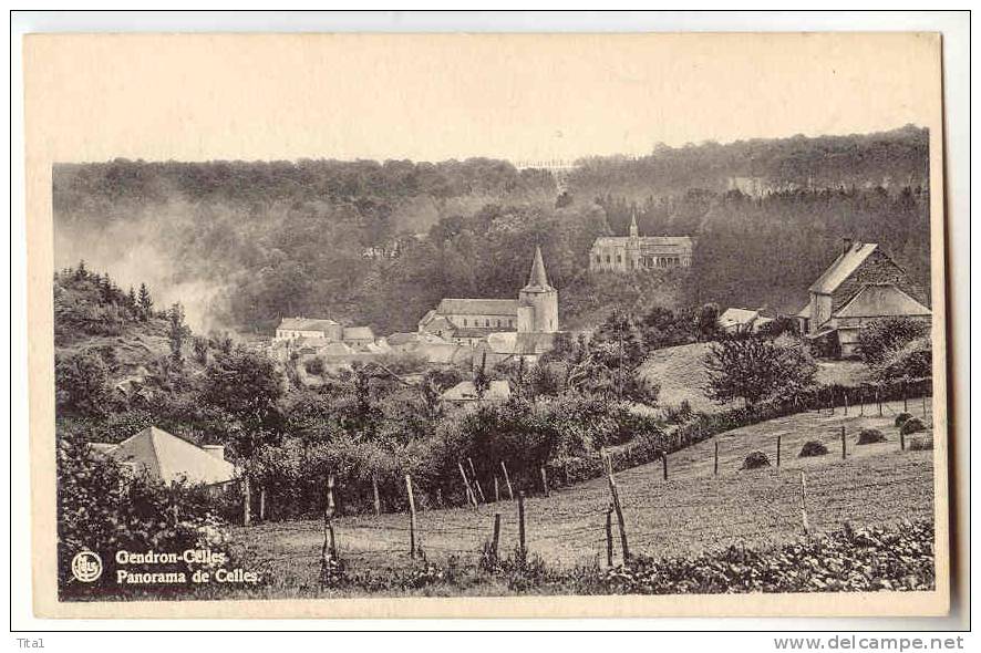 10952 - Gendron-Celles - Panorama De Celles - Houyet