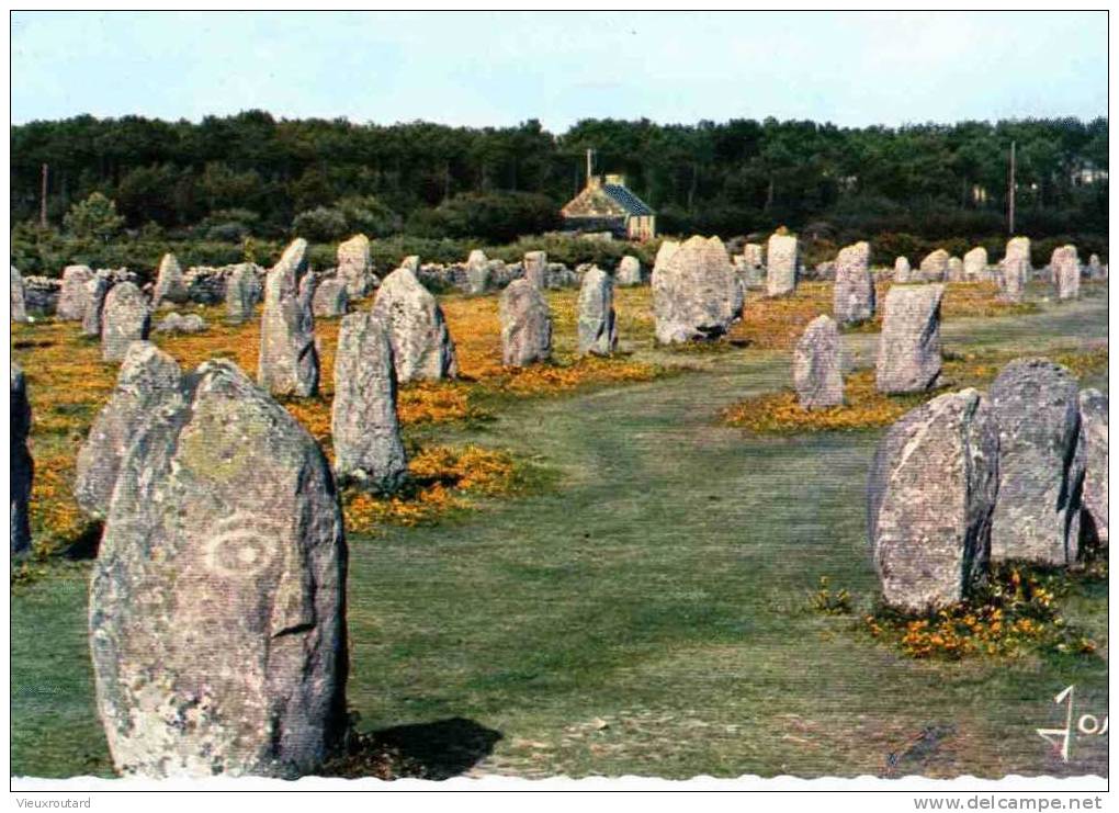 CPSM. LES ALIGNEMENTS DU MENEC DANS LA REGION DE CARNAC. DENTELLEE. - Dolmen & Menhirs