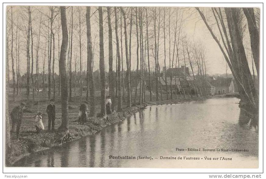 CPA PONTVALLAIN - DOMAINE DE FAUTREAU - VUE SUR L'AUNE - Pontvallain