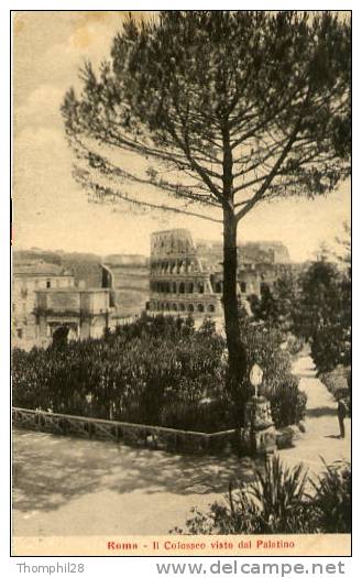 ROMA - Il Colosseo Visto Dal Palatino - Colisée