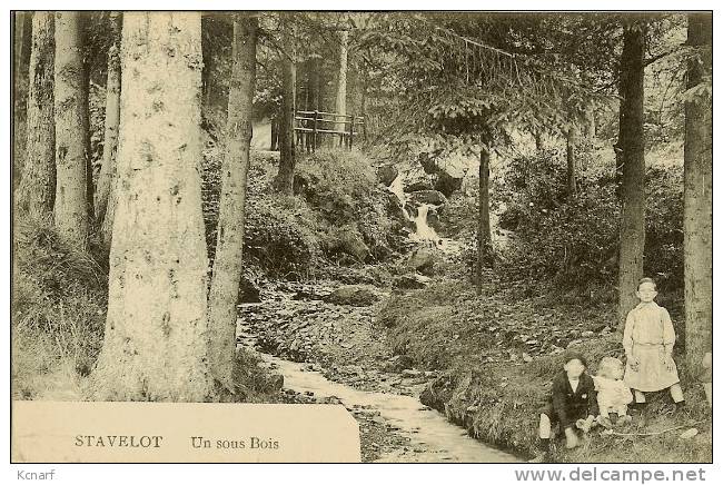 CP De STAVELOT " Un Sous Bois " Cachet FELDPOST Allemand . - Army