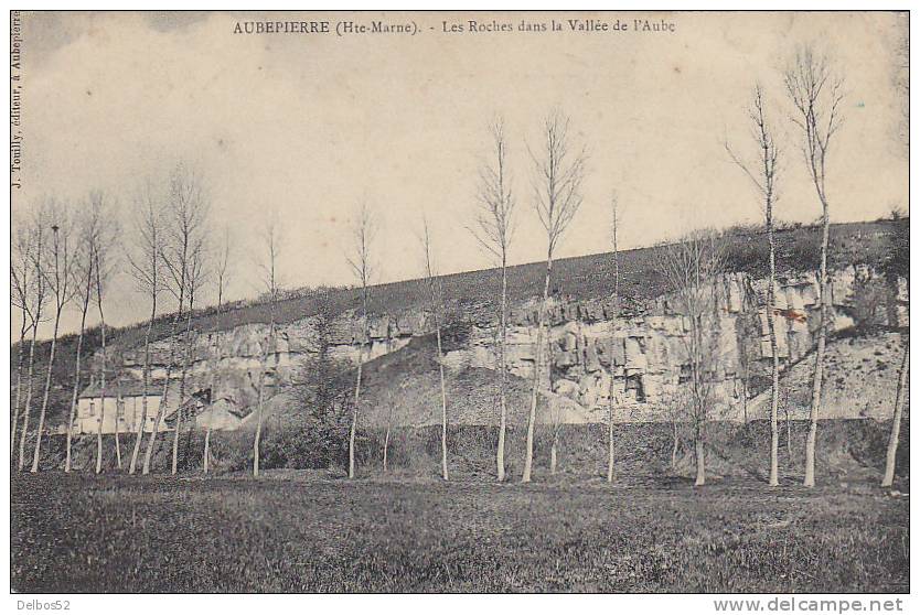 5. - AUBEPIERRE - Les Roches Dans La Vallee De L' Aube - Arc En Barrois