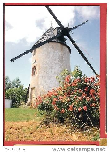 DEP 85 BEAUVOIR SUR MER LE MOULIN A VENT - Beauvoir Sur Mer