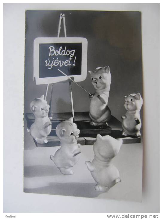 Piglets -New Year Pigs  - Pig  Hungarian Postcard  1960's  VF  D56410 - Varkens