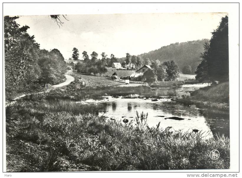 HERBEUMONT - La Semois En Aval Du Moulin Willaime - Molen (1115)f - Herbeumont