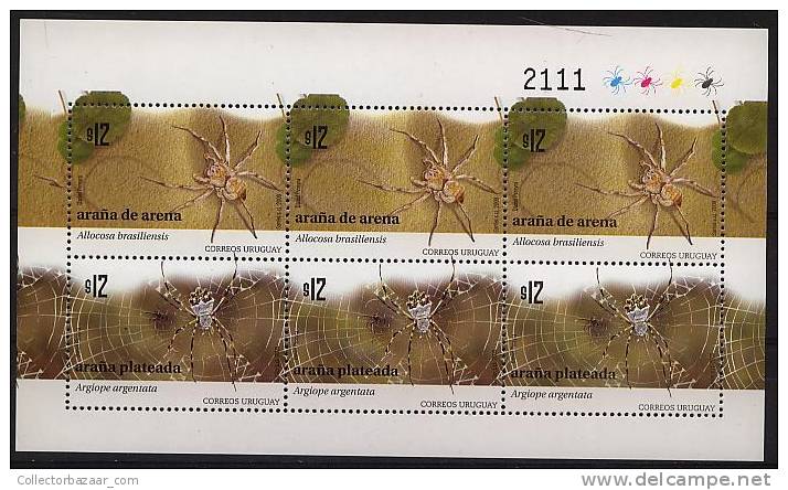 URUGUAY Spider Exotic Web MNH Block Of 6 Stamp Sheet Allocosa Brasiliensis Argiope Argentata - Araignées