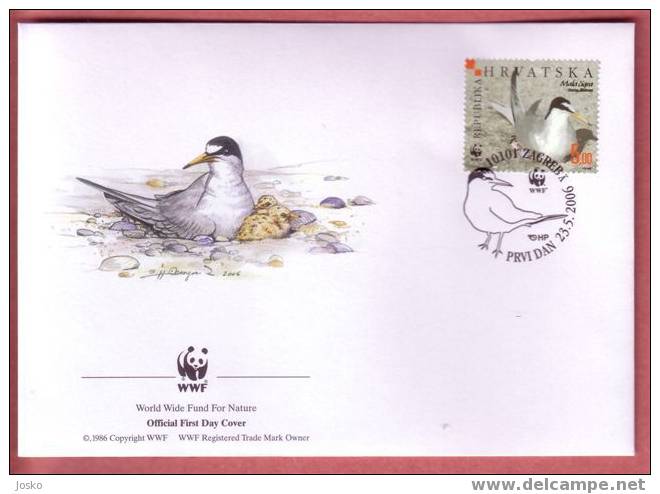 LITTLE TERN - STERNA ALBIFRONS ( Croatia FDC ) Petit Sterne WWF World Widelife Fund Bird Oiseau Birds Oiseaux Vogel Ave - FDC