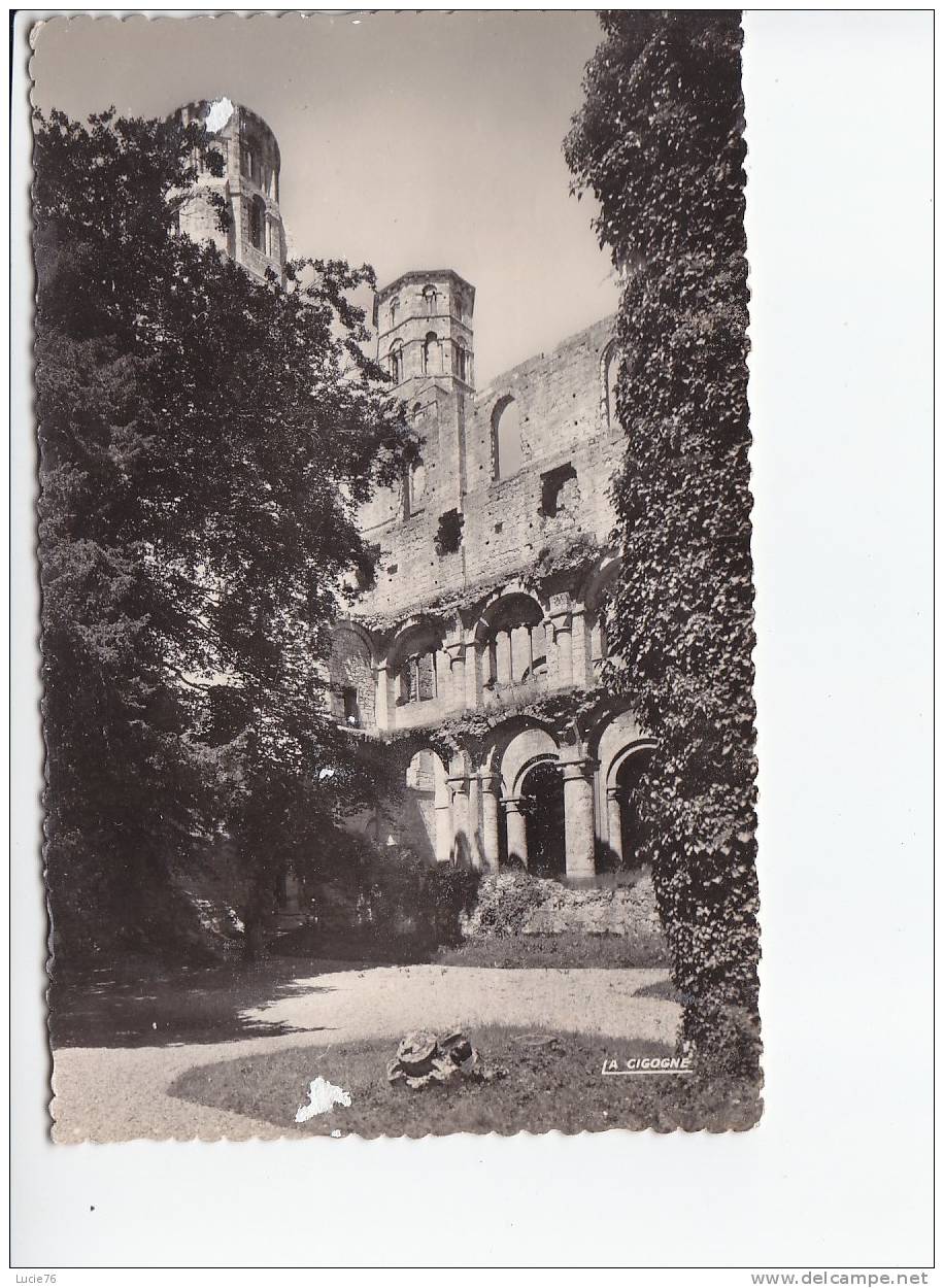 JUMIEGES  -  Vue D´Ensemble Du Cloître -  N° 76 378 13 - Jumieges