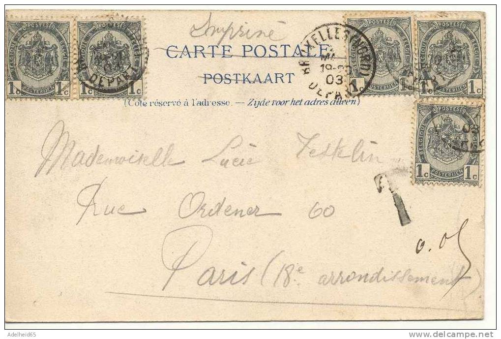 A Saisir 1903 Bruxelles Entrée Du  Parc, Ed. C.V.C. (van Cortenbergh) 5 Timbres, Taxe - Parks, Gärten