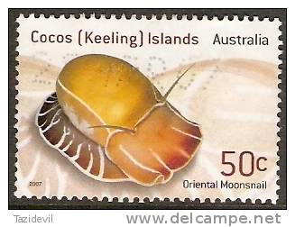 COCOS ISLANDS - Used 2007 50c Shell - Isole Cocos (Keeling)