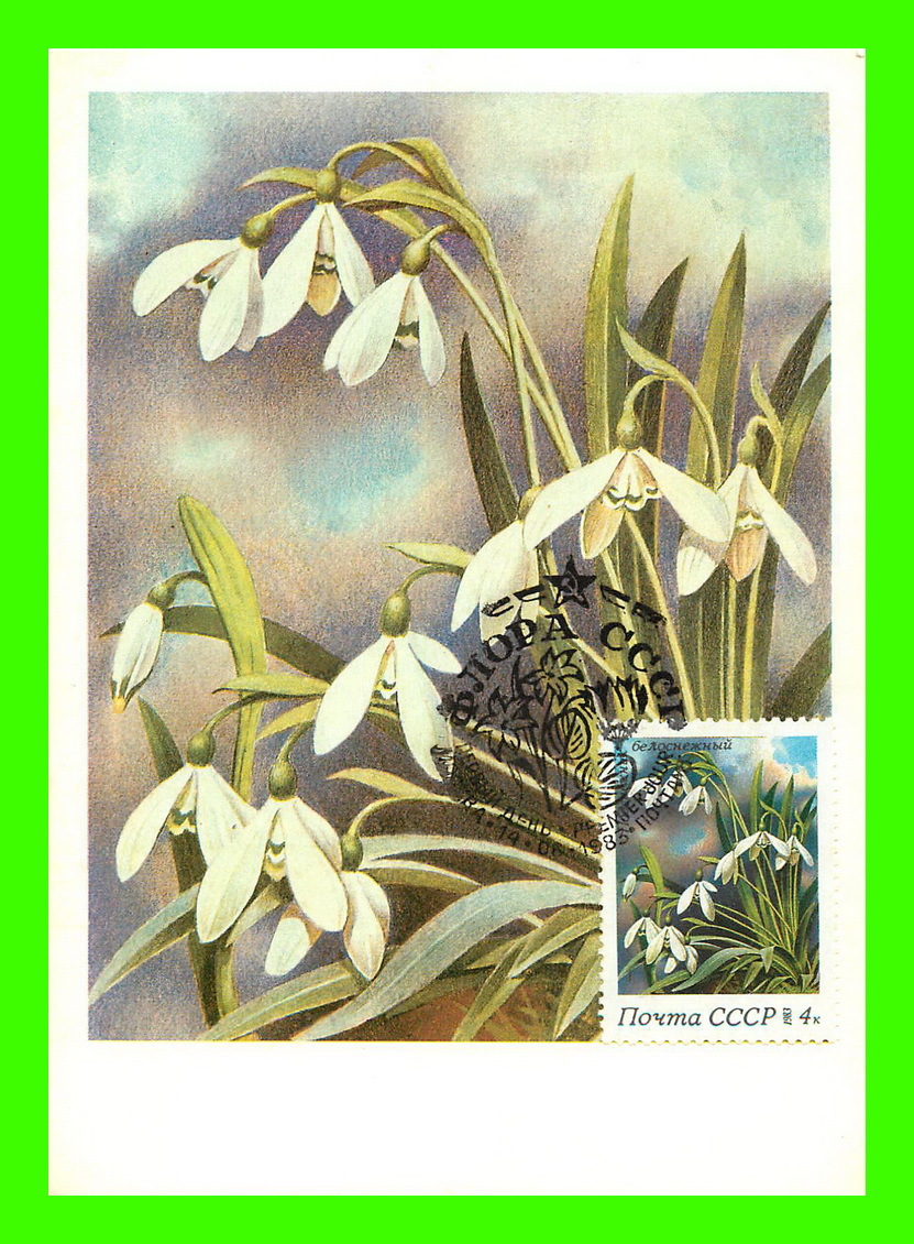 CARTES MAXIMUM - FLEURS, ARBRES, PLANTES - RUSSIE - CCCP - 1983 - - Maximumkarten