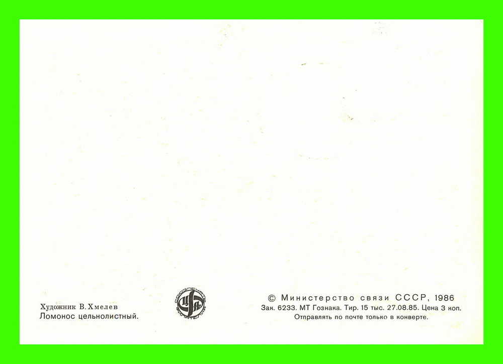 CARTES MAXIMUM - FLEURS, ARBRES, PLANTES - RUSSIE - CCCP - 1986 - - Maximumkarten