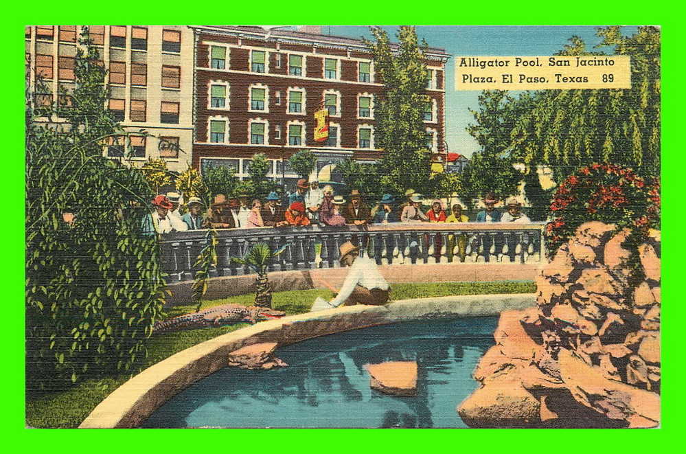 EL PASO, TX - ALLIGATOR POOL - SAN JACINTO PLAZA - ANIMATED -  SANDOVAL NEWS SERVICE - CARD TRAVEL - - El Paso