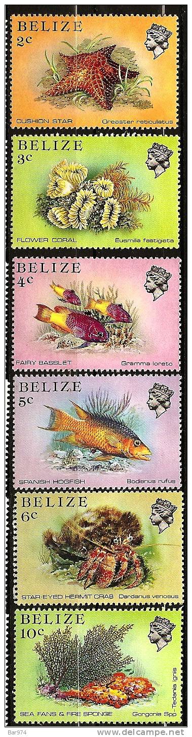 BELIZE, T Bien à Voir. - Belize (1973-...)