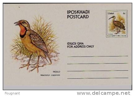 AFRIQUE:CISKEI:Entier Postal Neuf Avec Oiseau.Inqilo. - Ciskei