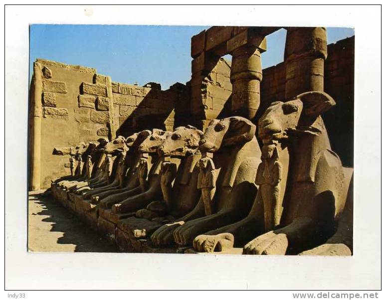 - EGYPTE . TEMPLE DE KARNAK . SPHINXES AVEC TÊTE DE BELIER - Louxor