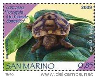 REPUBBLICA DI SAN MARINO - ANNO 2009 - CONCORSO: FOTOGRAFA IL TUO ANIMALE DOMESTICO - NUOVI ** MNH - Ongebruikt