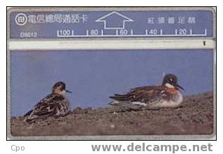 # TAIWAN D5012 Bird 100 Landis&gyr -birds,oiseaux-   Tres Bon Etat - Taiwan (Formosa)