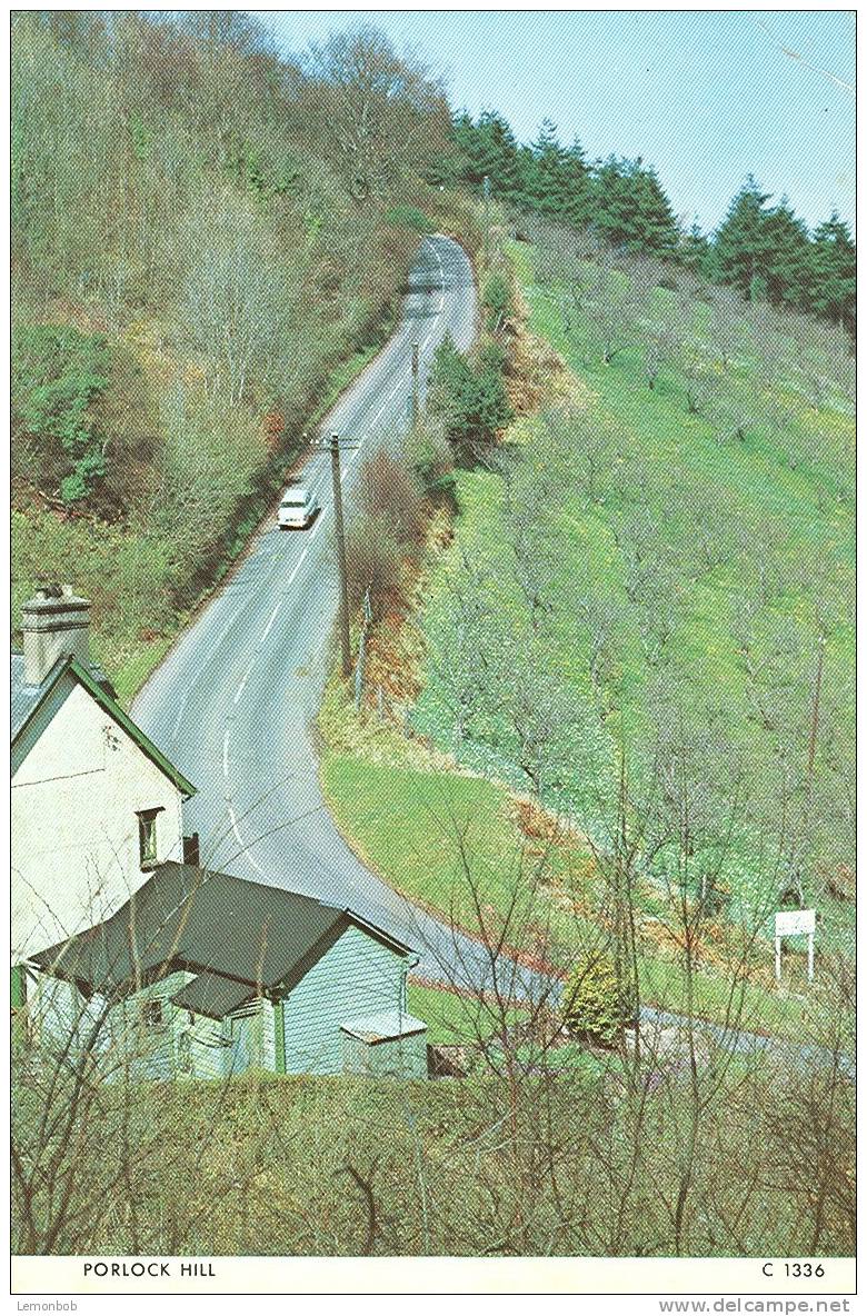 Britain - United Kingdom - Porlock Hill - Postcard [P597] - Andere & Zonder Classificatie