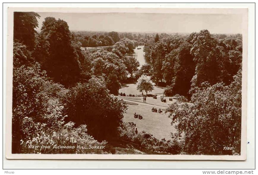 UK182  View From RICHMOND HILL - Surrey