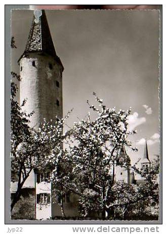 Jolie CP Photo Allemagne Mindelheim - CAD Mindelheim 13-08-1953 -3 Clocher Sur La Cp - Mindelheim