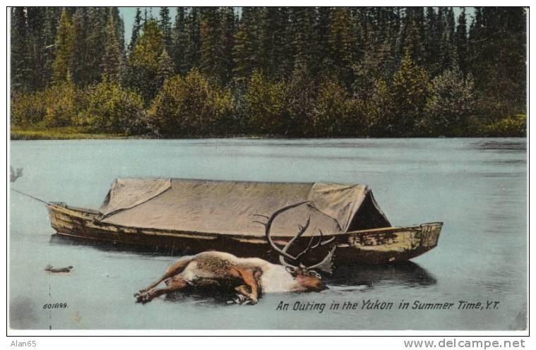 Yukon Outing In Summer, Elk Canoe Hunting, Zaccarellis Fruit Book And Stationery Store Dawson YT 1910s Vintage Postcard - Yukon