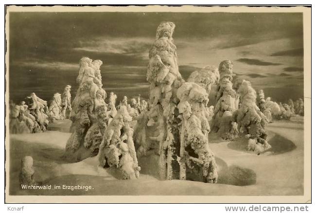 CP De WINTERWALD IM ERZGEBIRGE " Avec Griffe De JOHANNGEORGENSTADT " . - Johanngeorgenstadt