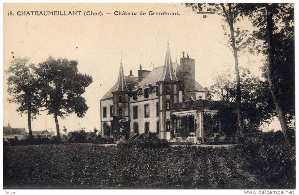 CHATEAUMEILLANT - Château De Grammont - Châteaumeillant