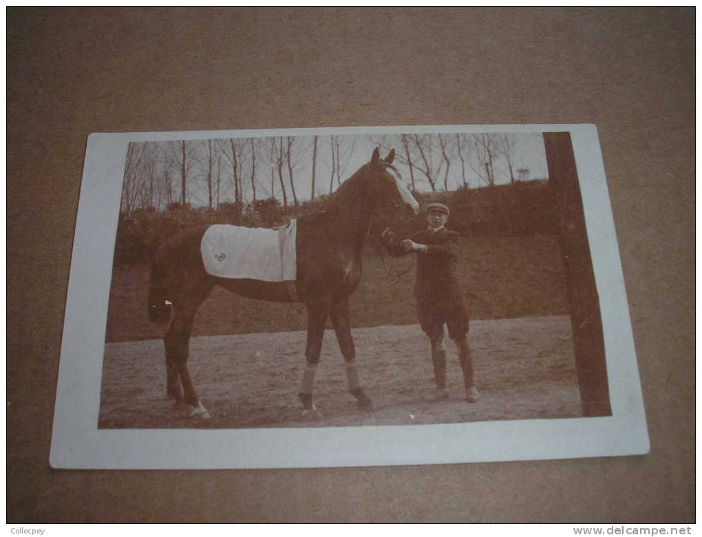 Carte Photo Hippisme Présentation D'un Cheval Beau Plan - Paardensport