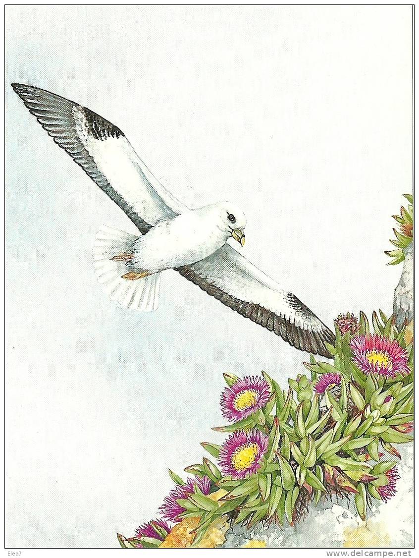 GUERNSEY Post Office Stamp-Card - Oiseau. - Möwen