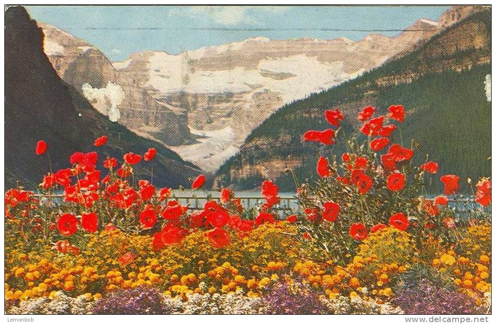 Canada - Lake Louise And Victoria Glacier - Old Postcard [P749] - Lac Louise