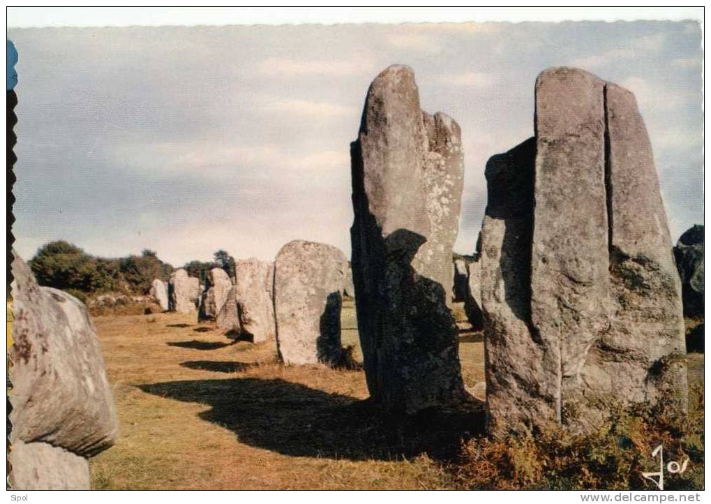 Carnac Alignements Mégalithiques Aux Env De Carnac - Dolmen & Menhire