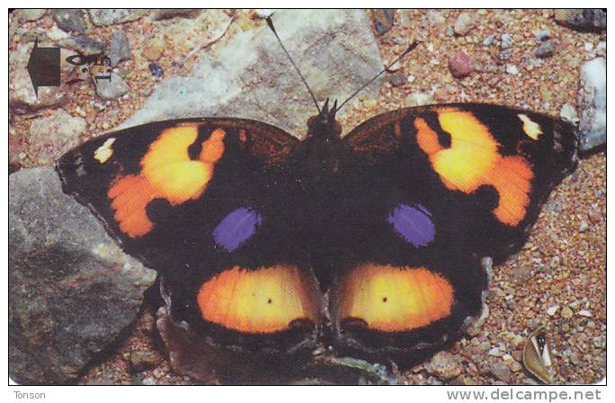 Oman,  OMN-G-34T, Yellow Pansy, Butterfly, 2 Scans. - Oman