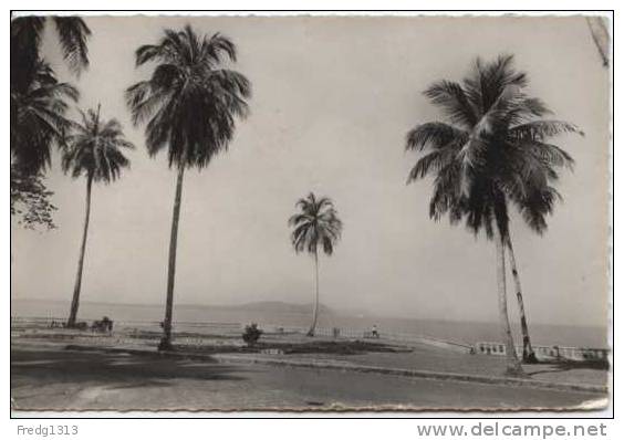 Guinee - Conakry - Un Coin De La Corniche - Guinea