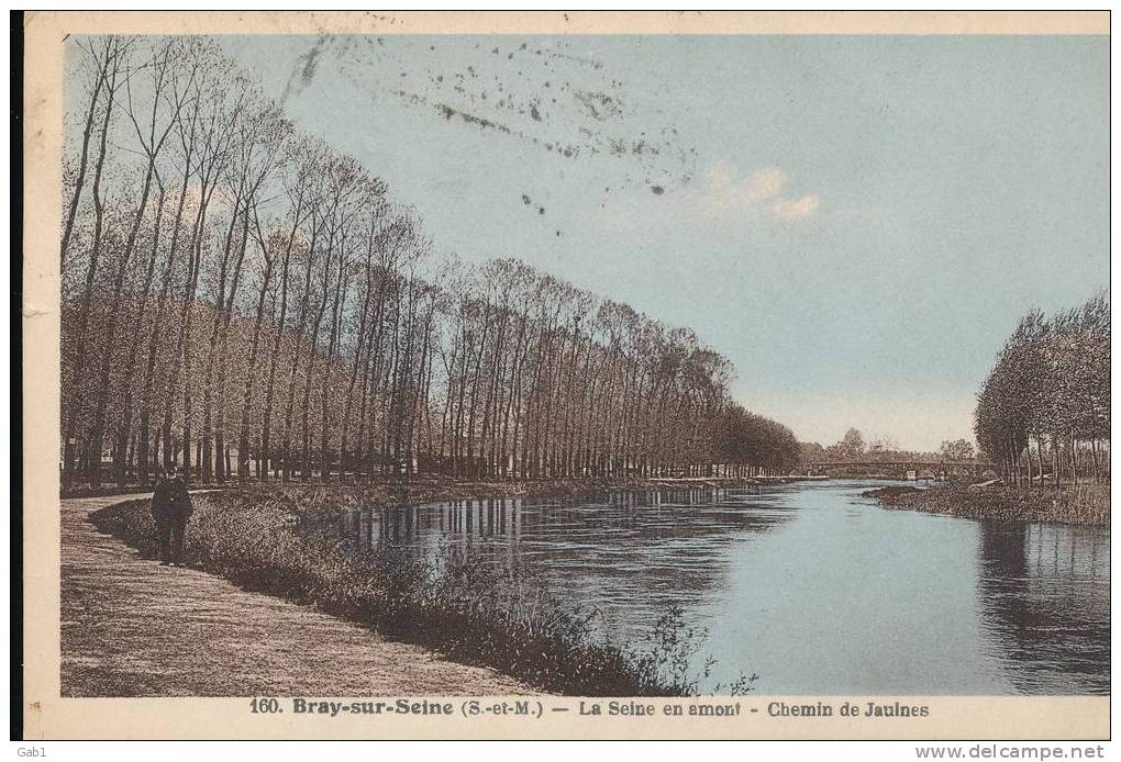 77 --- Bray Sur Seine ...  La Seine En Amont .. Chemin De Jaulnes - Bray Sur Seine