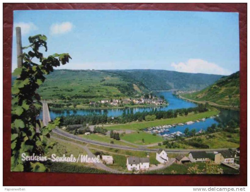 VG Cochem Senheim - Weinhaus Andre - Cochem