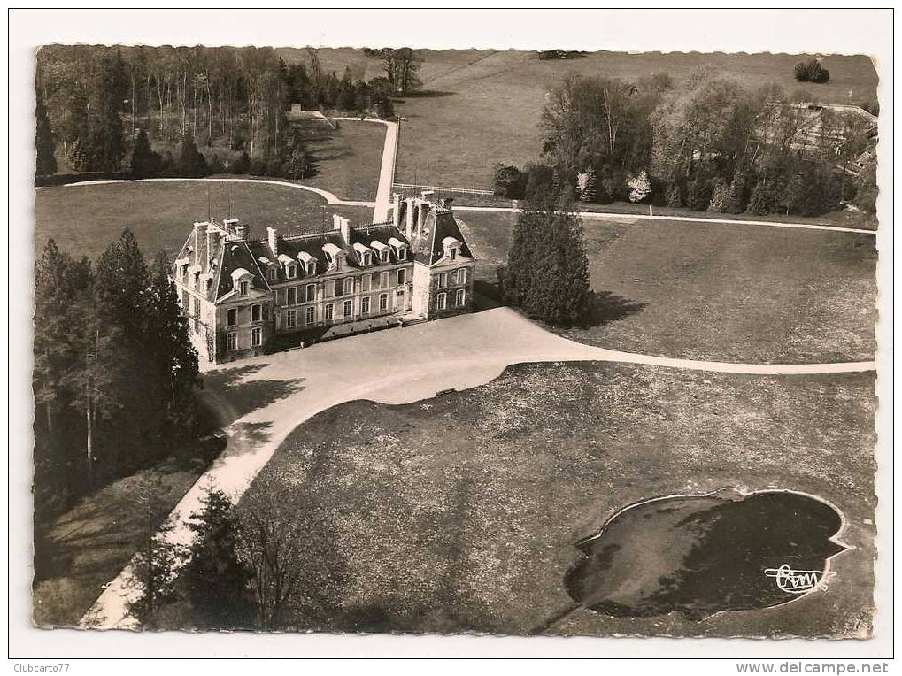 Nérondes (18) : Vue Aérienne Sur Le Château De Fontenay Environ 1950. - Nérondes