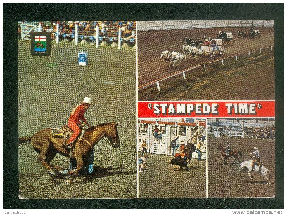 CPSM - MORRIS  Manitoba Canada - Stampede Time -  Multivues Rodéo Course Hippique Taureau Cow-boy Far-west - Reitsport