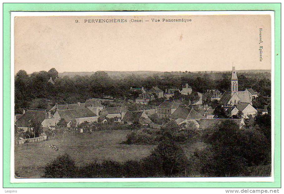 61 - PERVENCHERES -- Vue Panoramique - Pervencheres