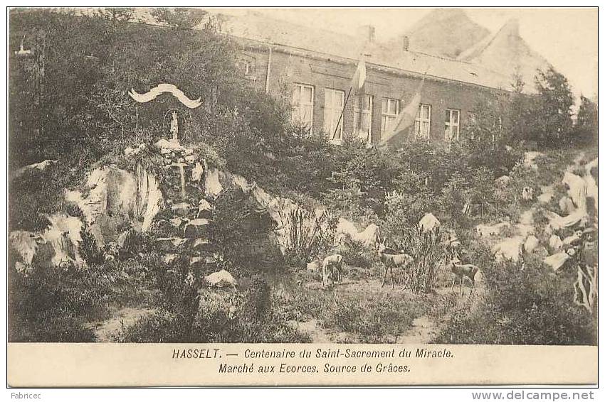 Hasselt - Centenaire Du Saint-Sacrement Du Miracle. Marché Aux Ecorces. Source De Grâces - Hasselt