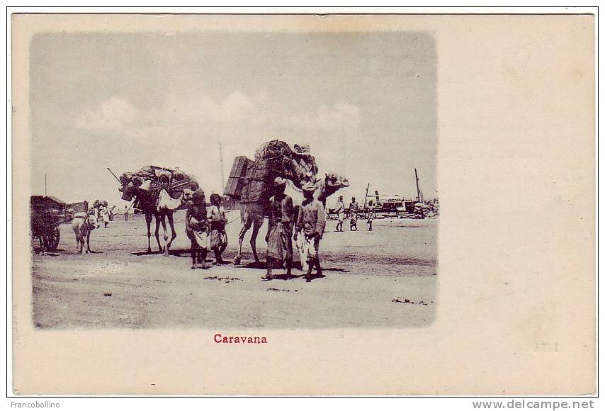 ADEN / YEMEN / ARABIE - CARAVANA - CAMEL - ATTELAGE - Jemen