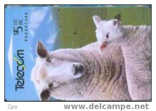 # NEW_ZEALAND NZ22S_1 Farm Animals - Coopworth Sheep 5 Gpt 01.94  Tres Bon Etat - Neuseeland