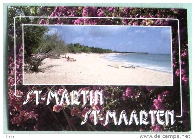 Cpsm 971 GUADELOUPE Antilles SAINT ST MARTIN Baie Aux Prunes - Saint Martin