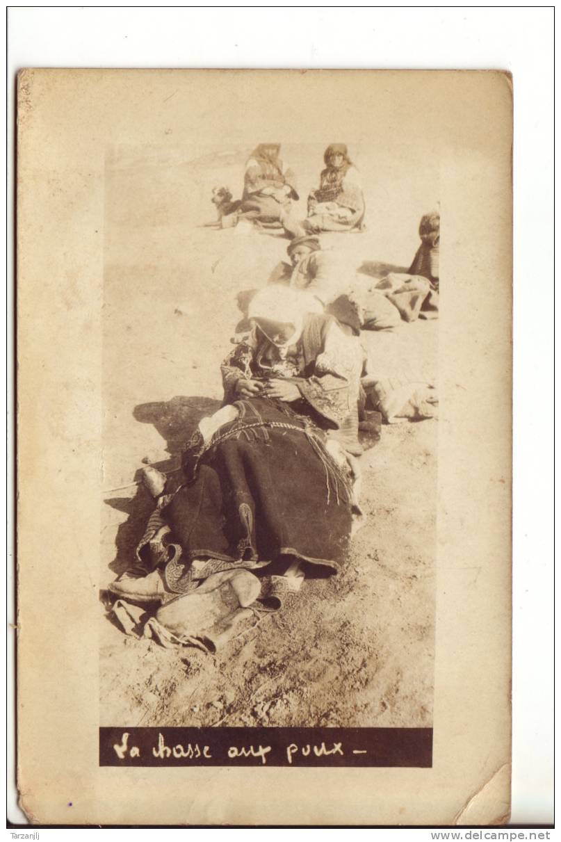 Carte Photo La Chasse Aux Poux - Non Classés