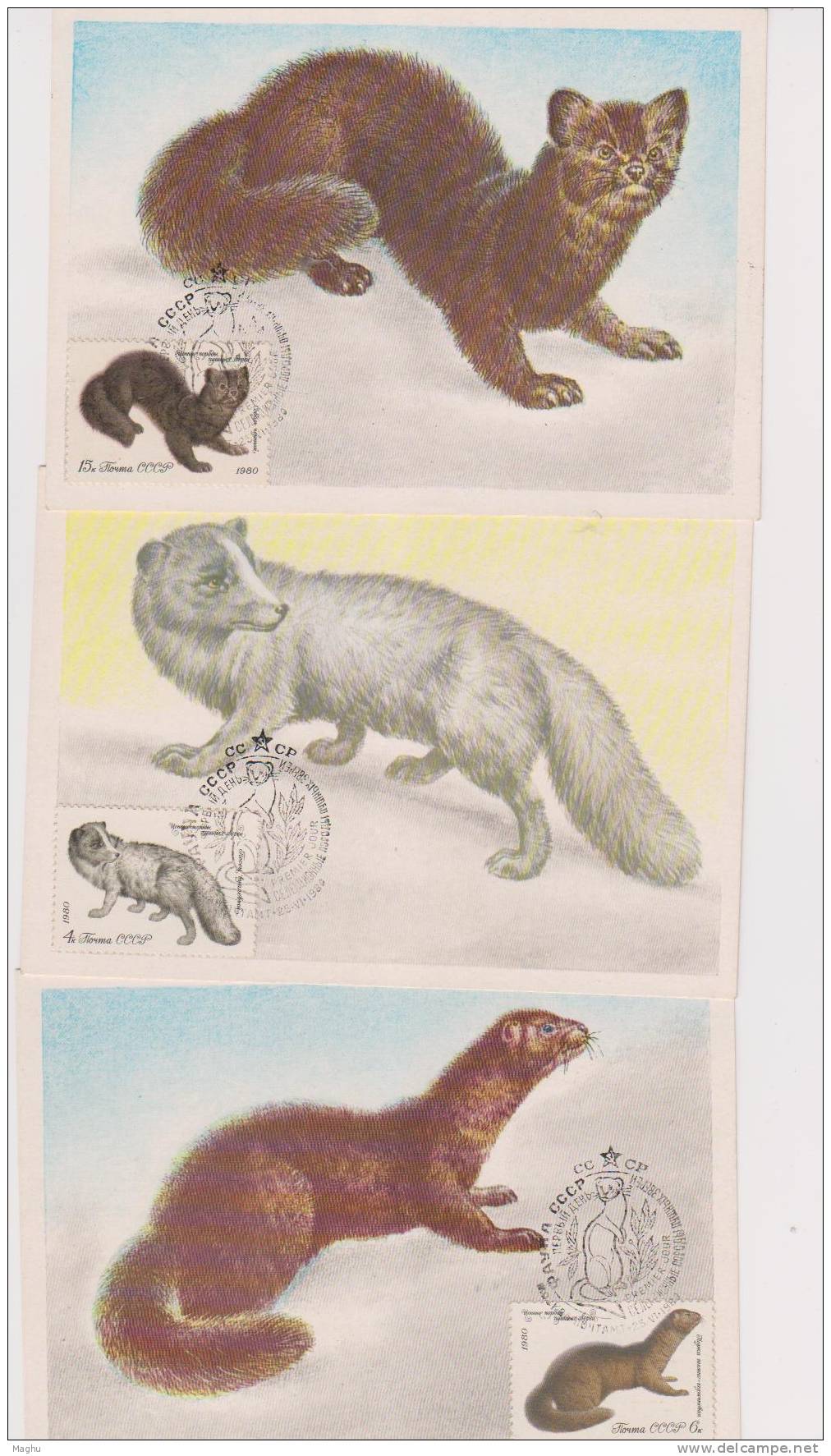 USSR-5 Maximum Cards, Maxi Cards, Animals -3 Scans-mammals Cats, Etc.,game, Rodents, Cm - Maximum Cards