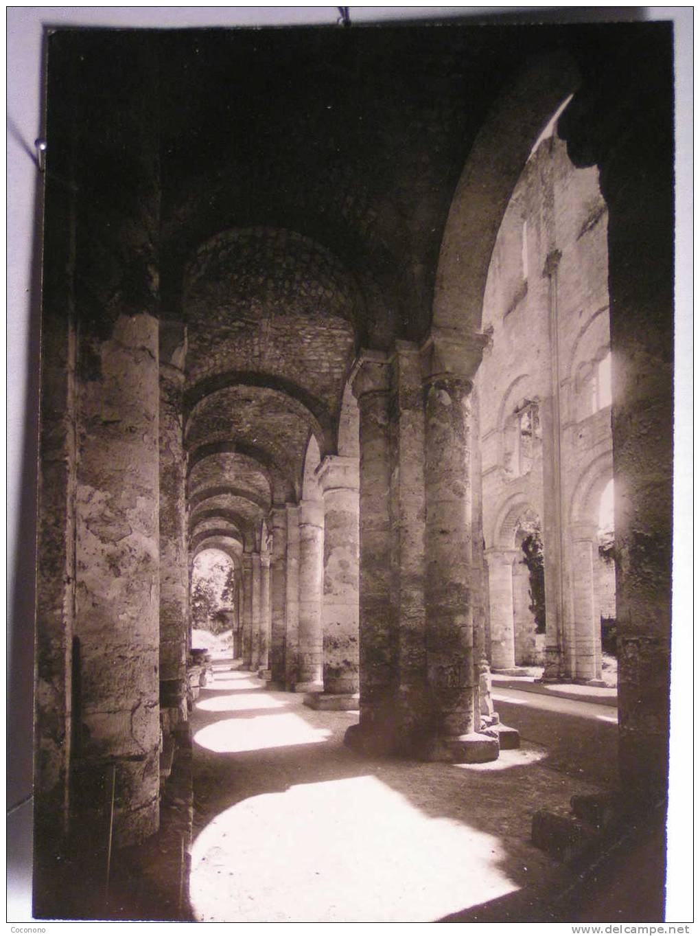 Jumièges - Ruines De L'Abbaye - Bas Côté Nord De L'Eglise Notre Dame - Jumieges