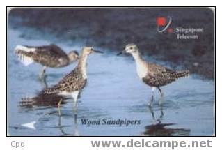 # SINGAPORE 25SIGB Wood Sandpipers 10 Landis&gyr -oiseaux,birds- Tres Bon Etat - Singapore