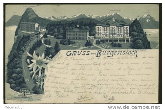 CH BURGENSTOCK /   Gruss Vom Bürgenstock   / - Autres & Non Classés